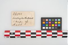 Etikett zu Eisengriffdornmesser (NHMW-PRAE-026804)
